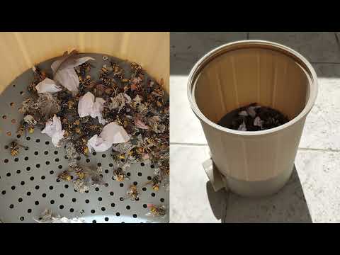 video_img_1