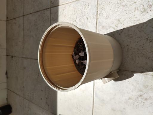 project_image_67